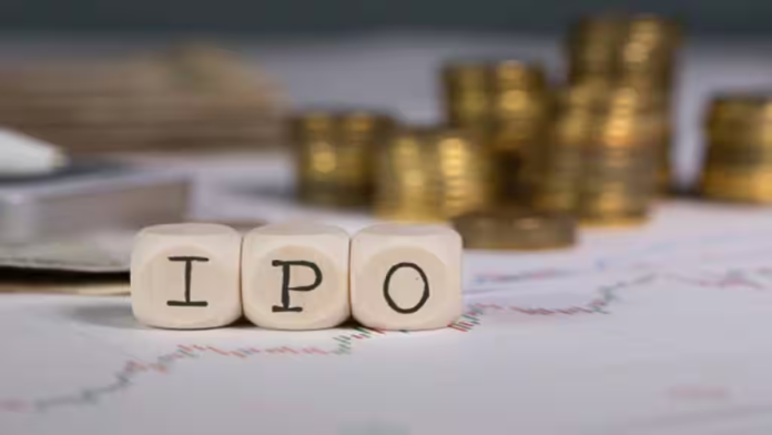 NLC, SJVN green IPOs to hit the market in 2025