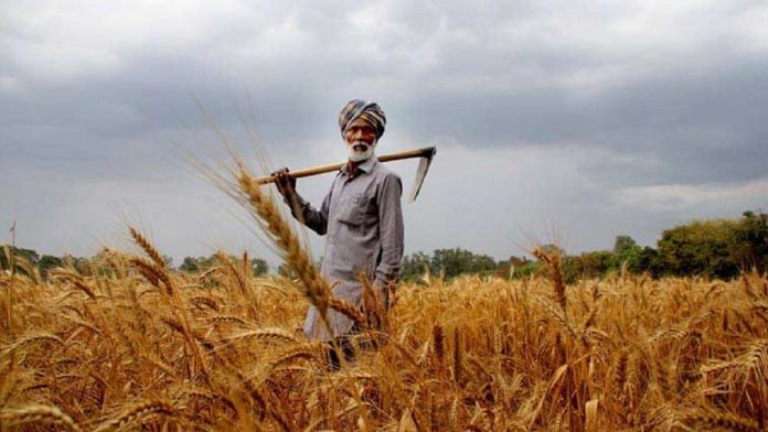 Why farmers matter in Maharashtra polls 