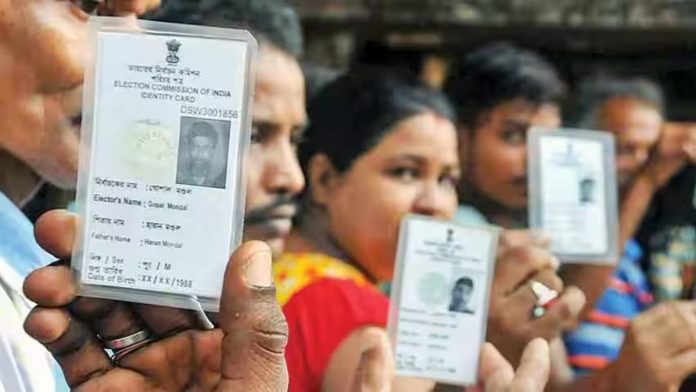 Maharashtra Assembly Election 2024: Don’t have a voter ID card? You can still vote if you have these documents