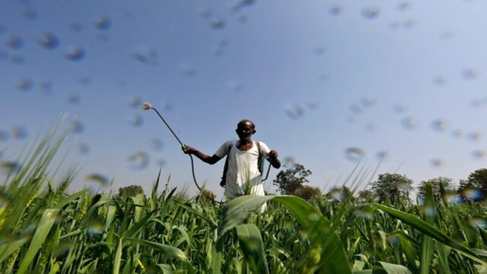 Domestic complex fertiliser makers to witness 10% dip in operating profitability this fiscal, recovery likely in next FY