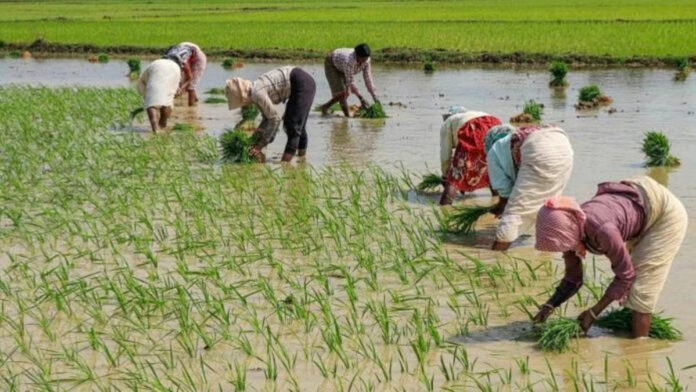 PM Kisan Samman Nidhi Yojana: 19th installment date, steps to link mobile number, beneficiary status – All you need to know