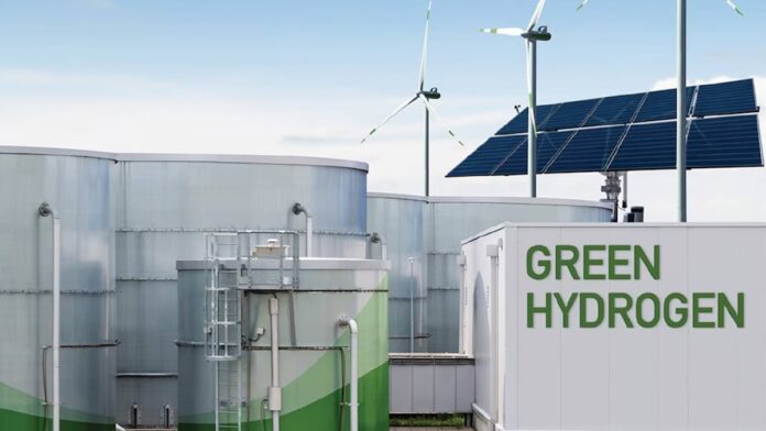 ‘Economics of green hydrogen is very daunting’