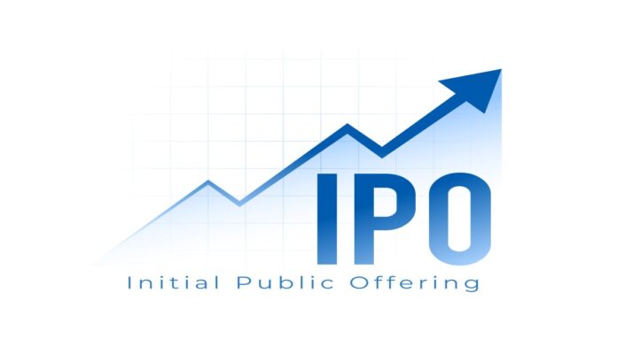 IPO flurry set to continue in  2025 after bumper $11 billion inflow in 2024