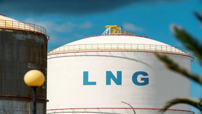 LNG imports to slow down in 2025 amid moderating demand, says IEA