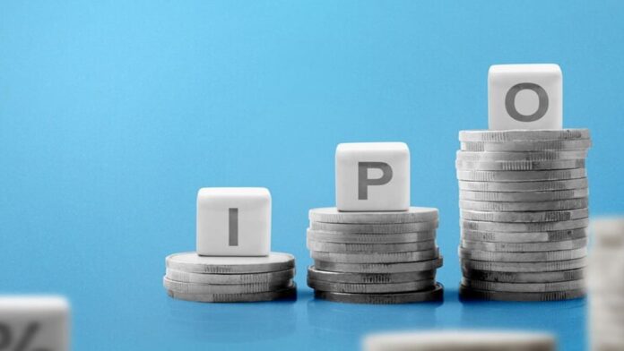 Bloom year for IPOs despite market gloom