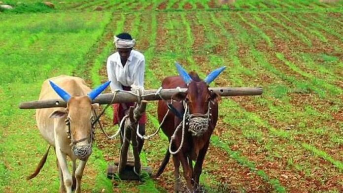 PM Kisan Scheme 19th Installment Live: Rs 2,000 to be credited to farmers’ accounts today, PM Modi to release funds from Bhagalpur