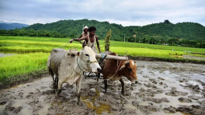 PM Kisan Samman Nidhi Beneficiary List 2025: Steps to check beneficiary status at pmkisan.gov.in