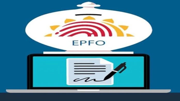EPF interest for FY 2024-25 credited? Here’s how you can check